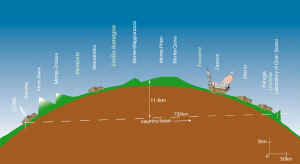 route taaken by neutrinos thru the Earth's crust from cern to GSlab.jpg (29383 字節(jié))